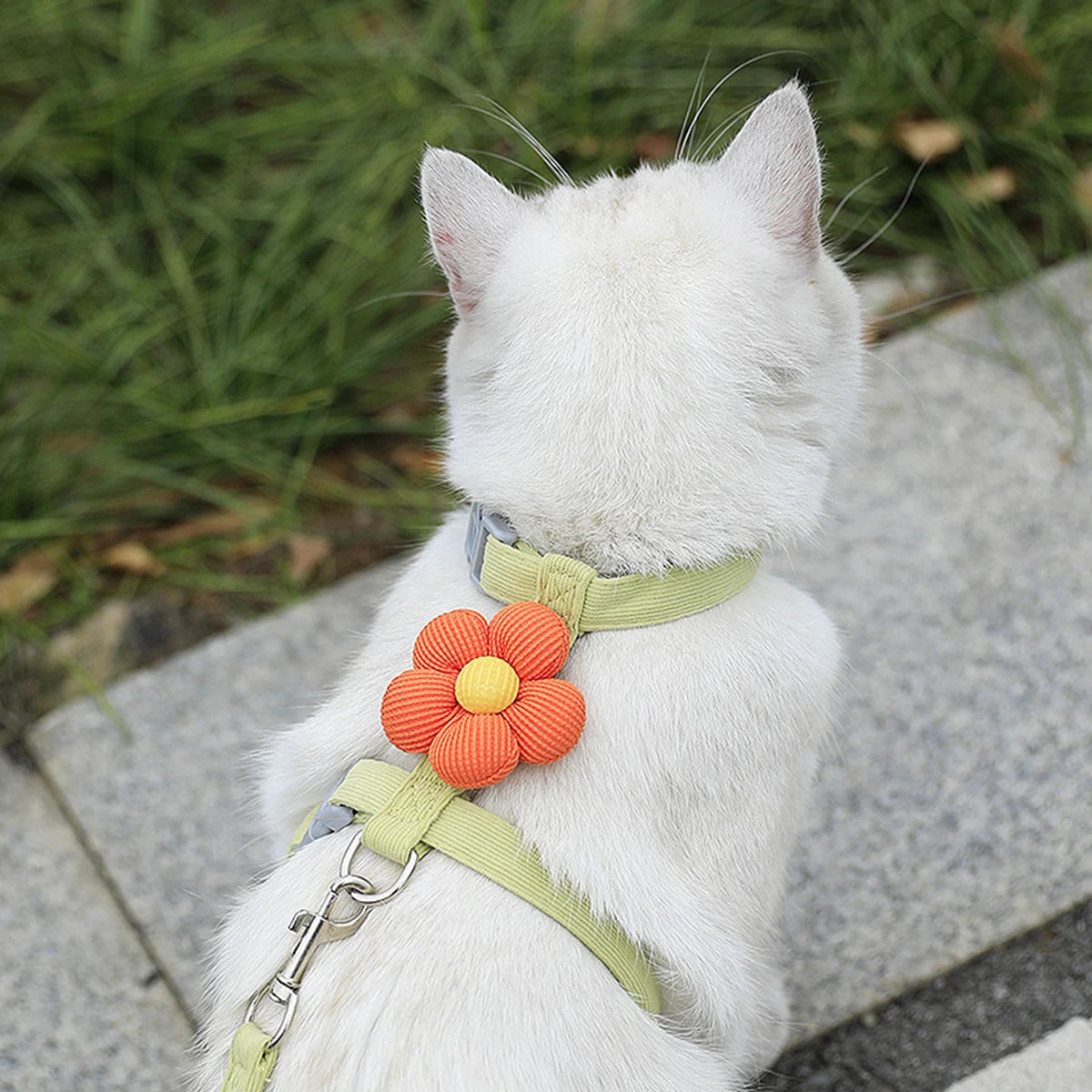 Cat & Small Dog Harness Leash Set – Breathable Adjustable Walking Vest