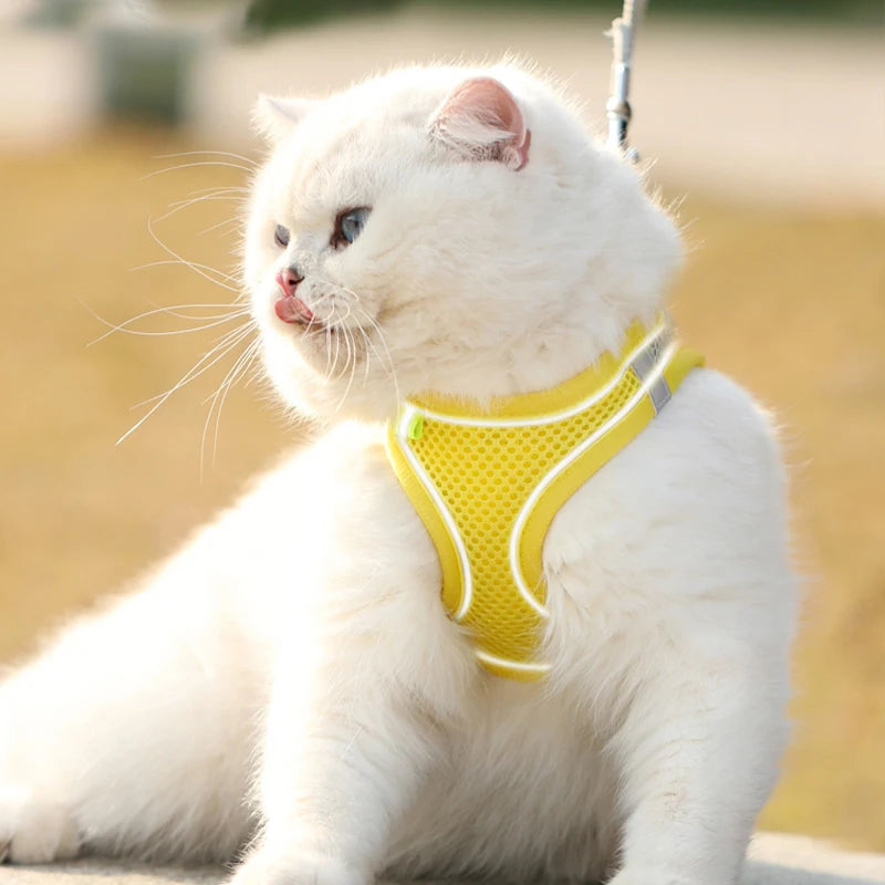 Puppy & Cat Vest Harness with Leash – Breathable Reflective Mesh