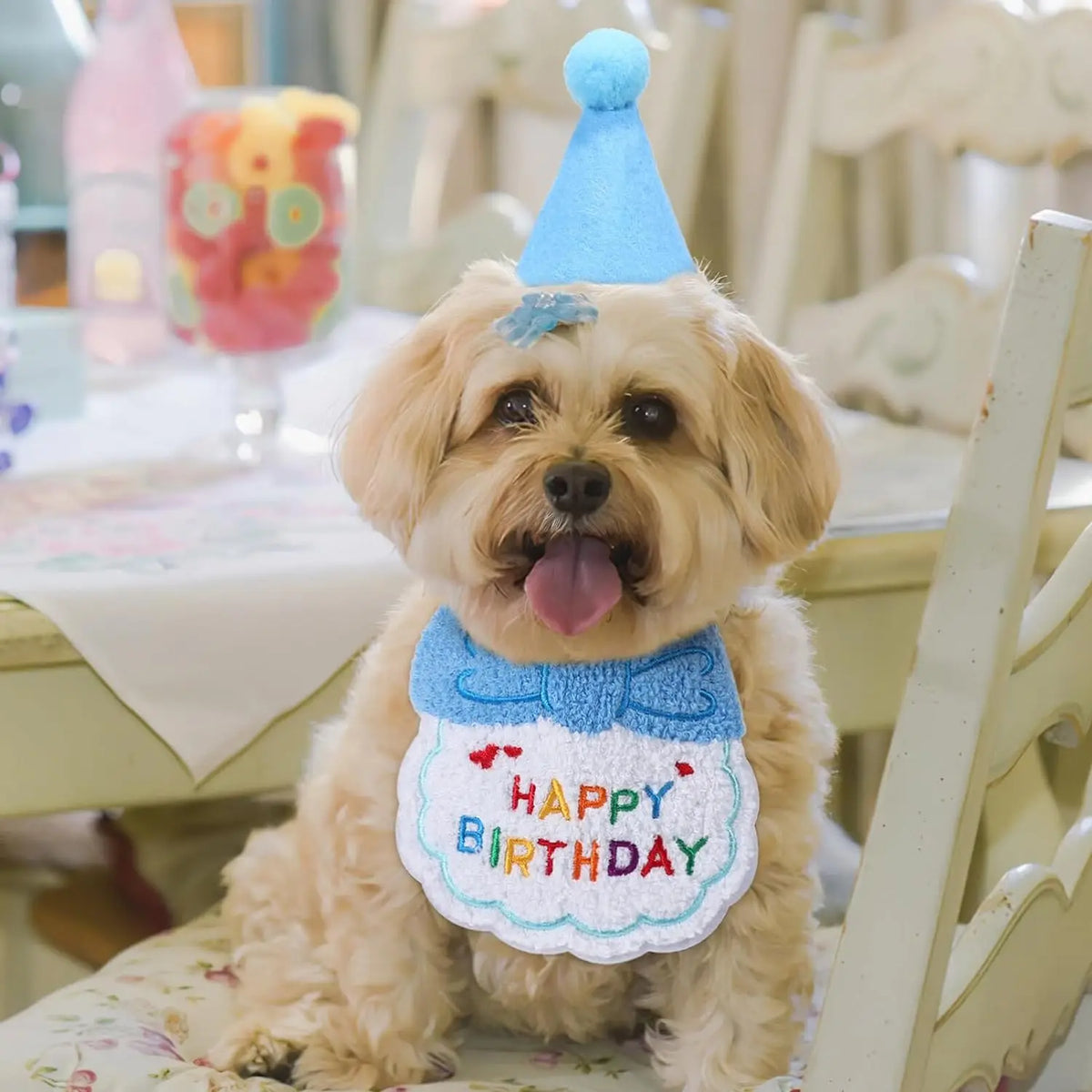 Pet Birthday Bandana & Party Hat Set – Dog & Cat Birthday Outfit