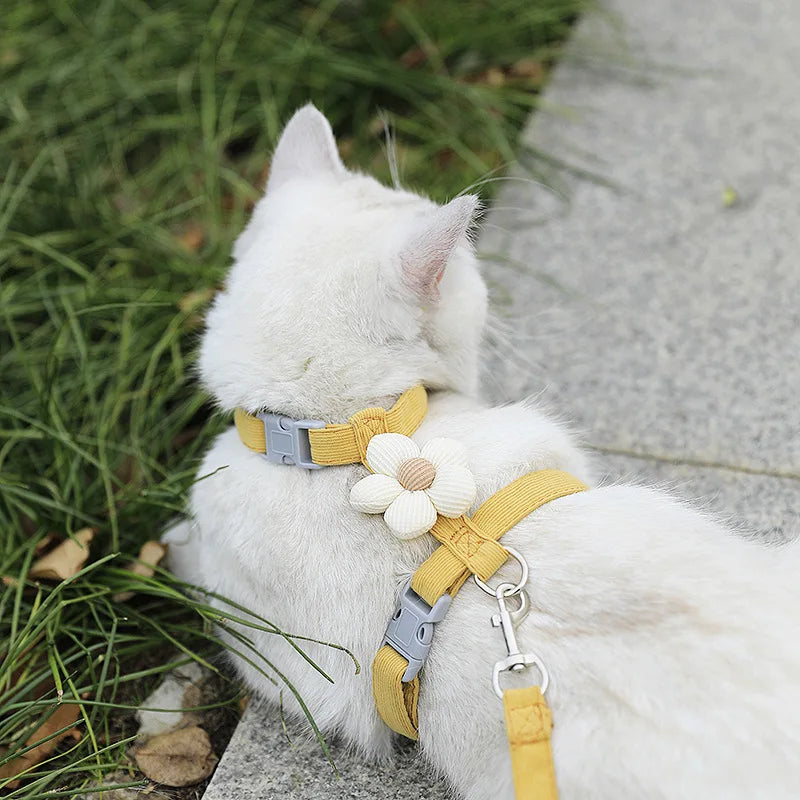 Cat & Small Dog Harness Leash Set – Breathable Adjustable Walking Vest