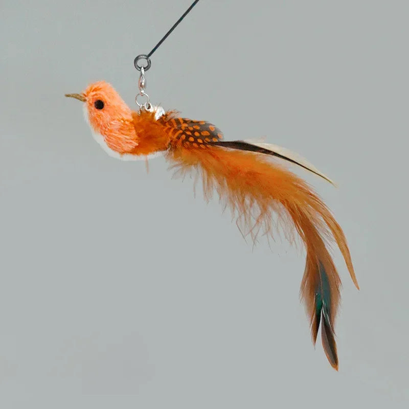 Cat Feather Toy Refills – Replacement Bird, Worm & Ball Teaser Heads