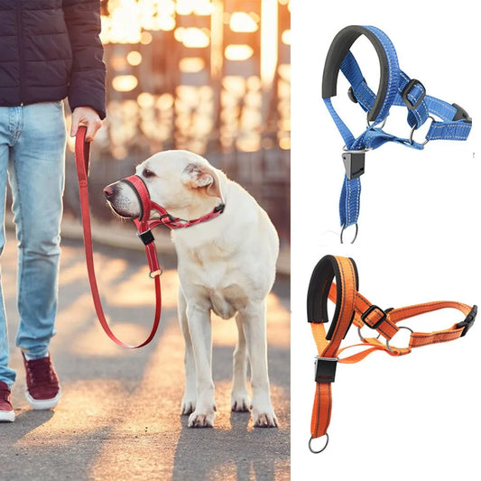 Dog Training Head Halter – Adjustable Anti-Pull Nose Lead