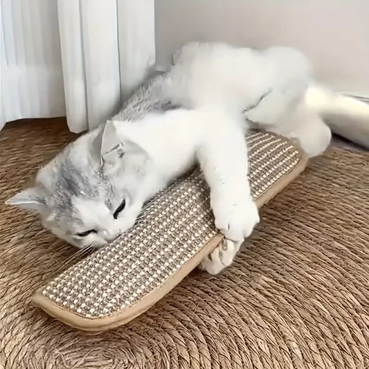 Cat Toy Pillow & Scratch Pad – Interactive Self-Play Cat Toy