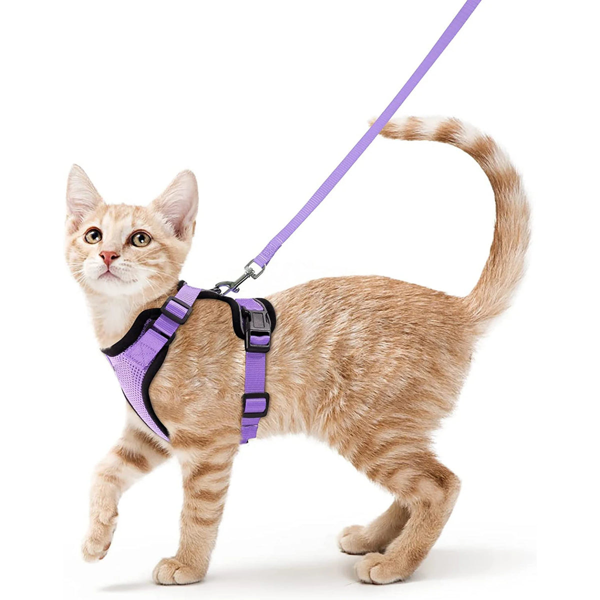 Cat Harness and Leash for Walking – Escape-Proof Soft Adjustable Vest