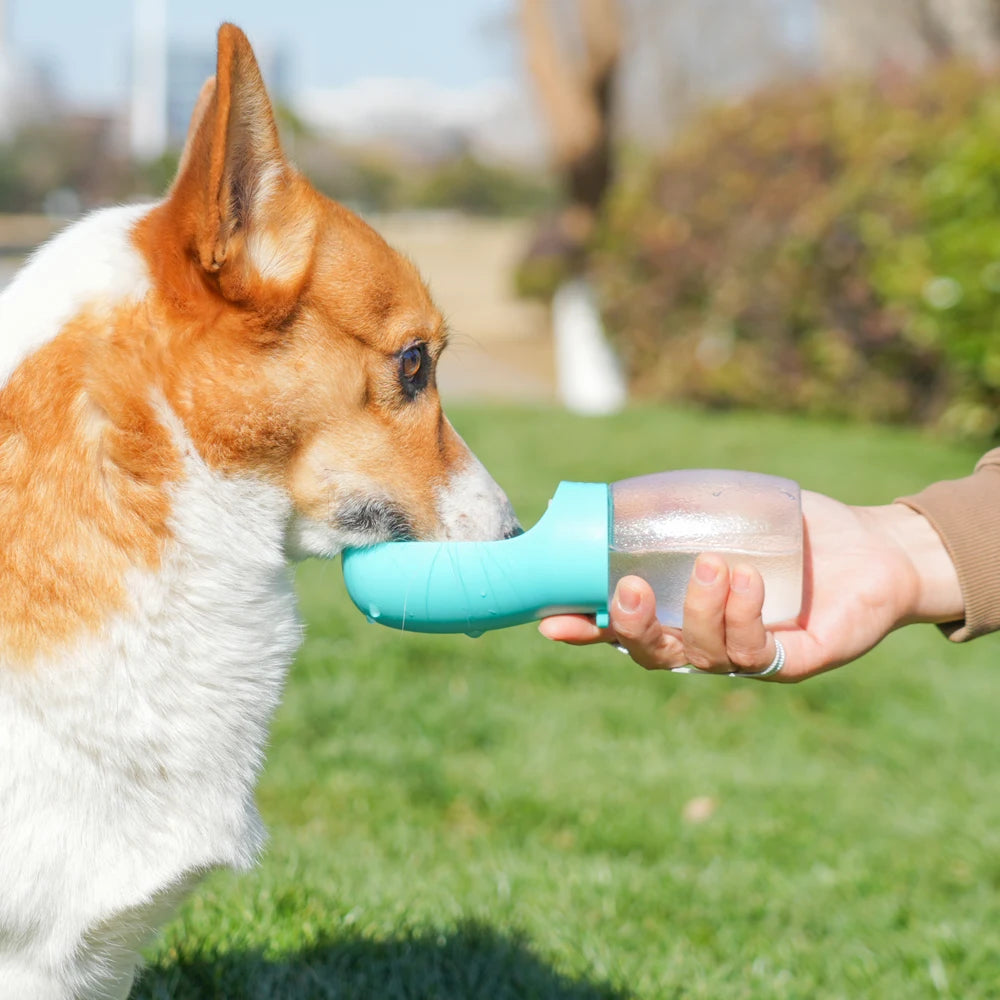 Portable Dog Water Bottle 300ml – Travel Drinking Bowl for Dogs & Cats