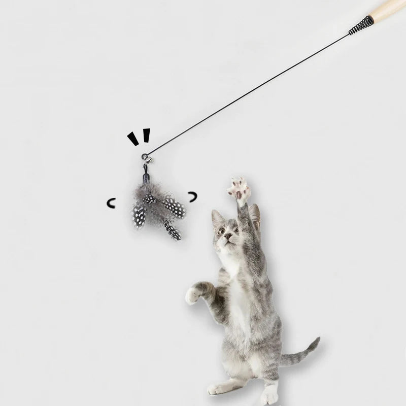 Wooden Spring Cat Teaser Wand – Feather Replacement Head Cat Toy
