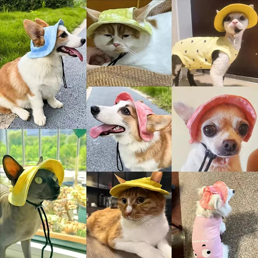 Dog Baseball Cap with Ear Holes – Adjustable Pet Sun Hat Small/Medium