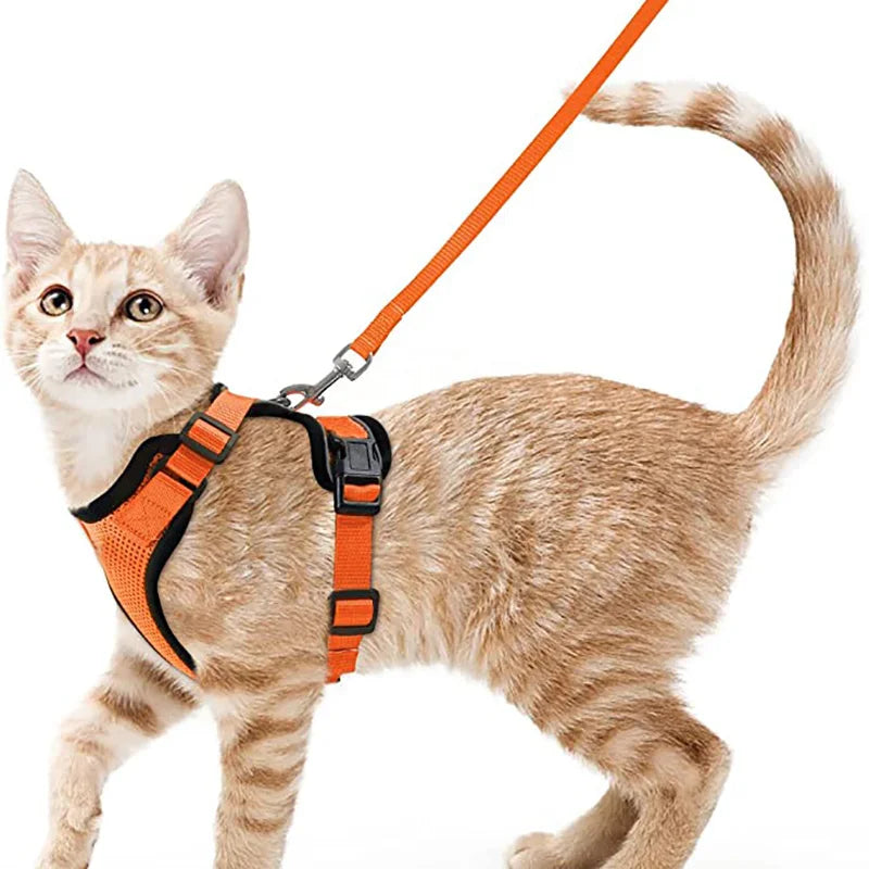 Cat Harness and Leash for Walking – Escape-Proof Soft Adjustable Vest