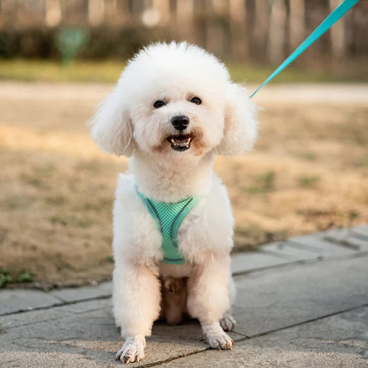 Reflective Dog Vest Harness – Escape-Proof Breathable Walking Harness