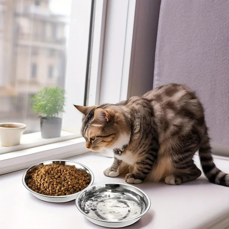 Stainless Steel Cat Bowl Set – Wide Anti-Tip Low-Profile Feeder