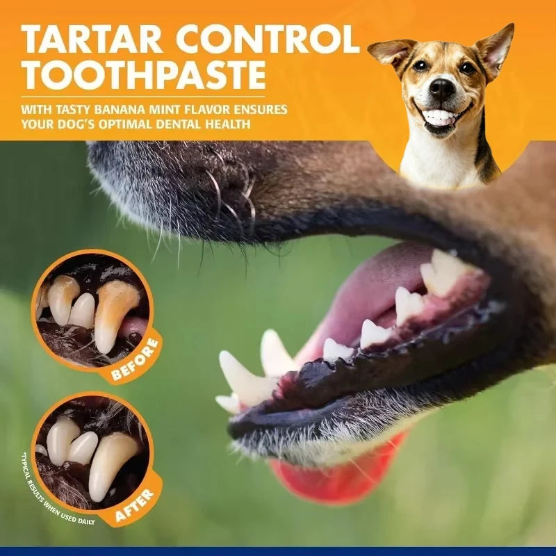 Dog Dental Care Kit – Pet Toothbrush & Toothpaste Set for Tartar