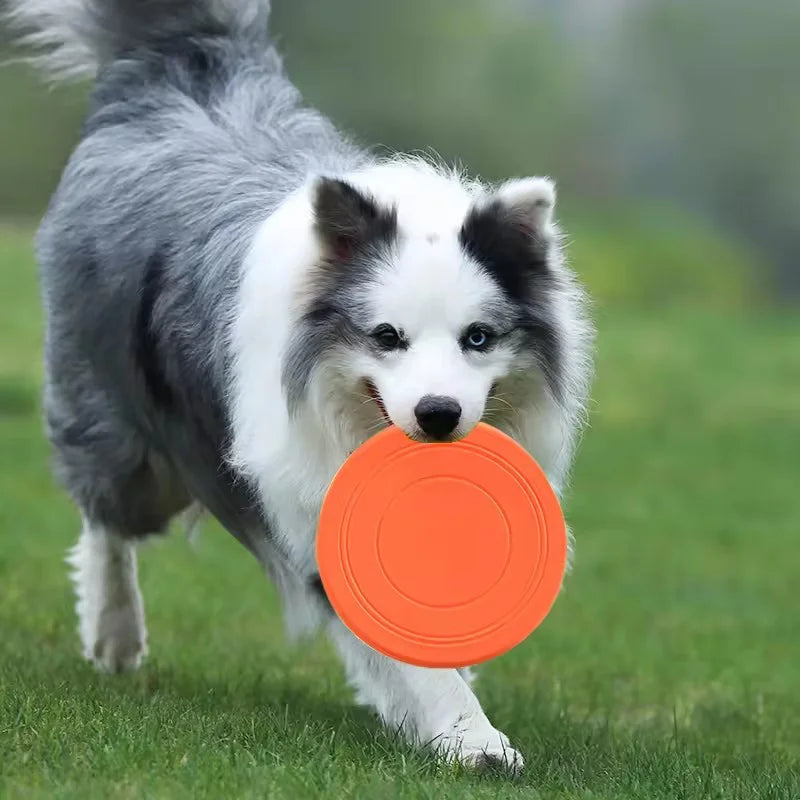 Soft Rubber Dog Frisbee – Durable Flying Disc for Fetch Training
