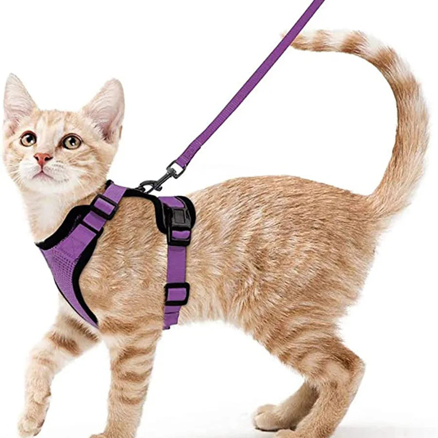 Cat Harness and Leash for Walking – Escape-Proof Soft Adjustable Vest