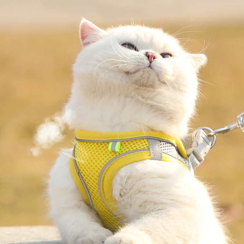 Puppy & Cat Vest Harness with Leash – Breathable Reflective Mesh