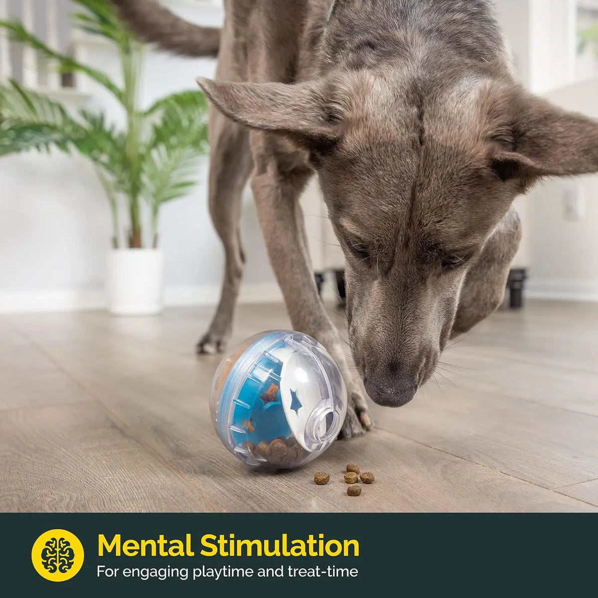 IQ Treat Ball for Dogs – Adjustable Treat Dispensing Slow Feeder Toy