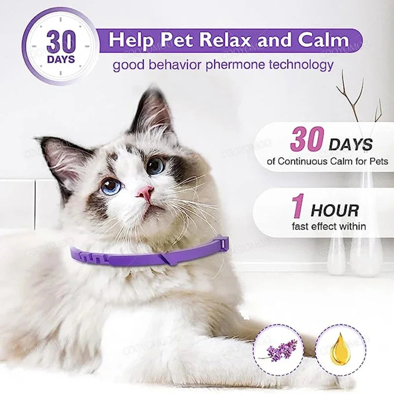 New Release 3/4 Pc Dog Calming Collar Cat Relieve Anxiety Protection Retractable Collars For Puppy Kitten Large Dogs Accessories