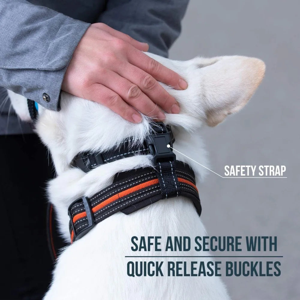 Dog Training Head Halter – Adjustable Anti-Pull Nose Lead