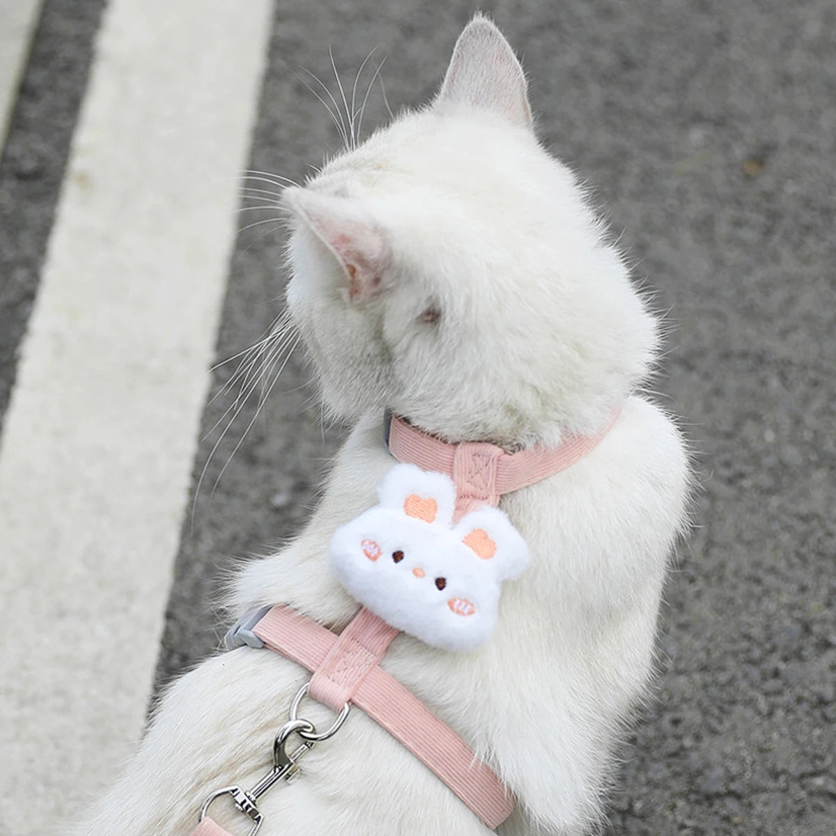 Cat & Small Dog Harness Leash Set – Breathable Adjustable Walking Vest