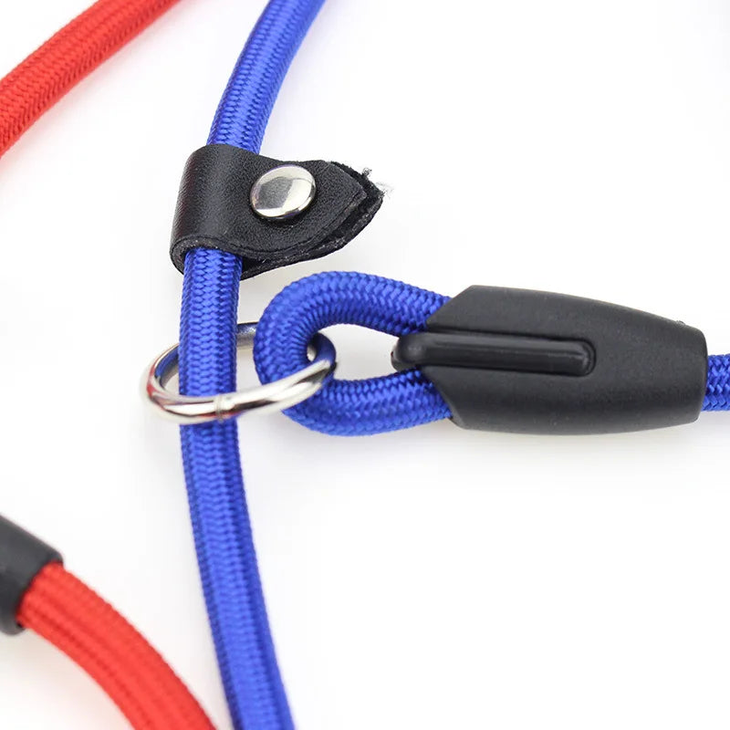 Nylon Dog Leash – Adjustable Training Lead Rope