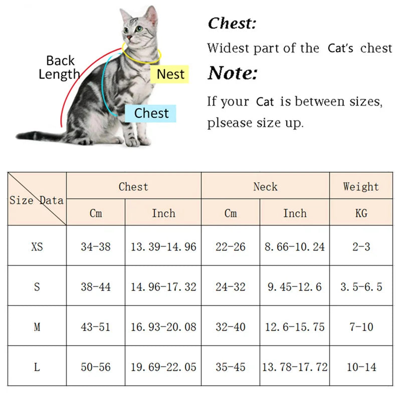 Cat & Small Dog Harness and Leash Set – Breathable Walking Vest