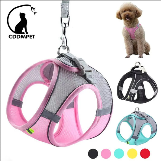 Puppy & Cat Vest Harness with Leash – Breathable Reflective Mesh