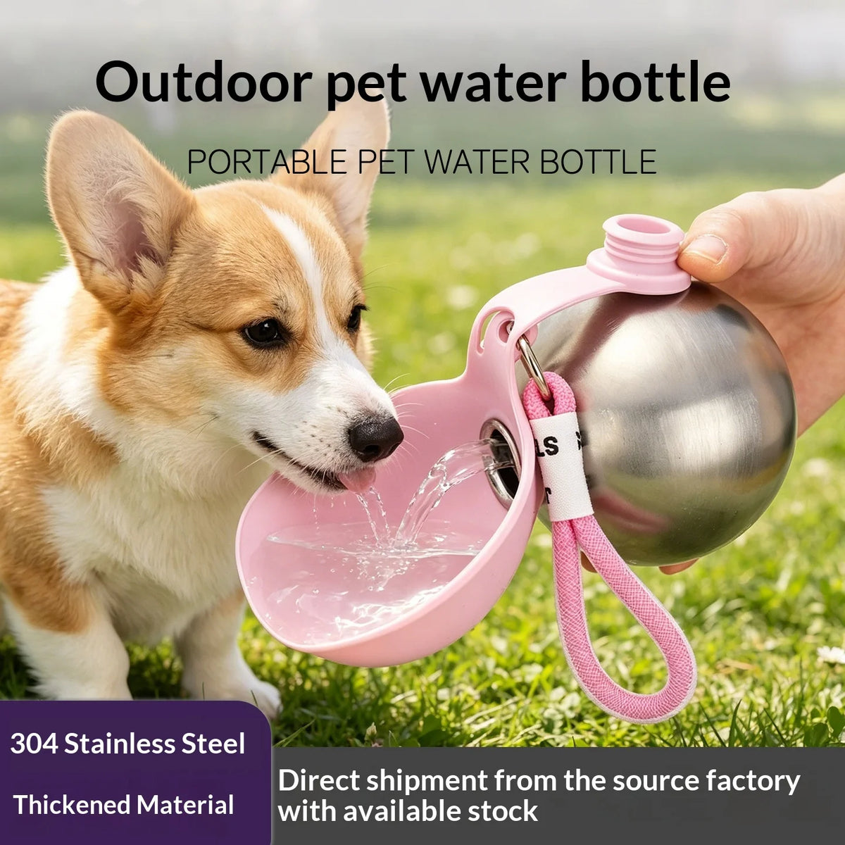 Stainless Steel Dog Water Bottle – Foldable Silicone Bowl for Walks