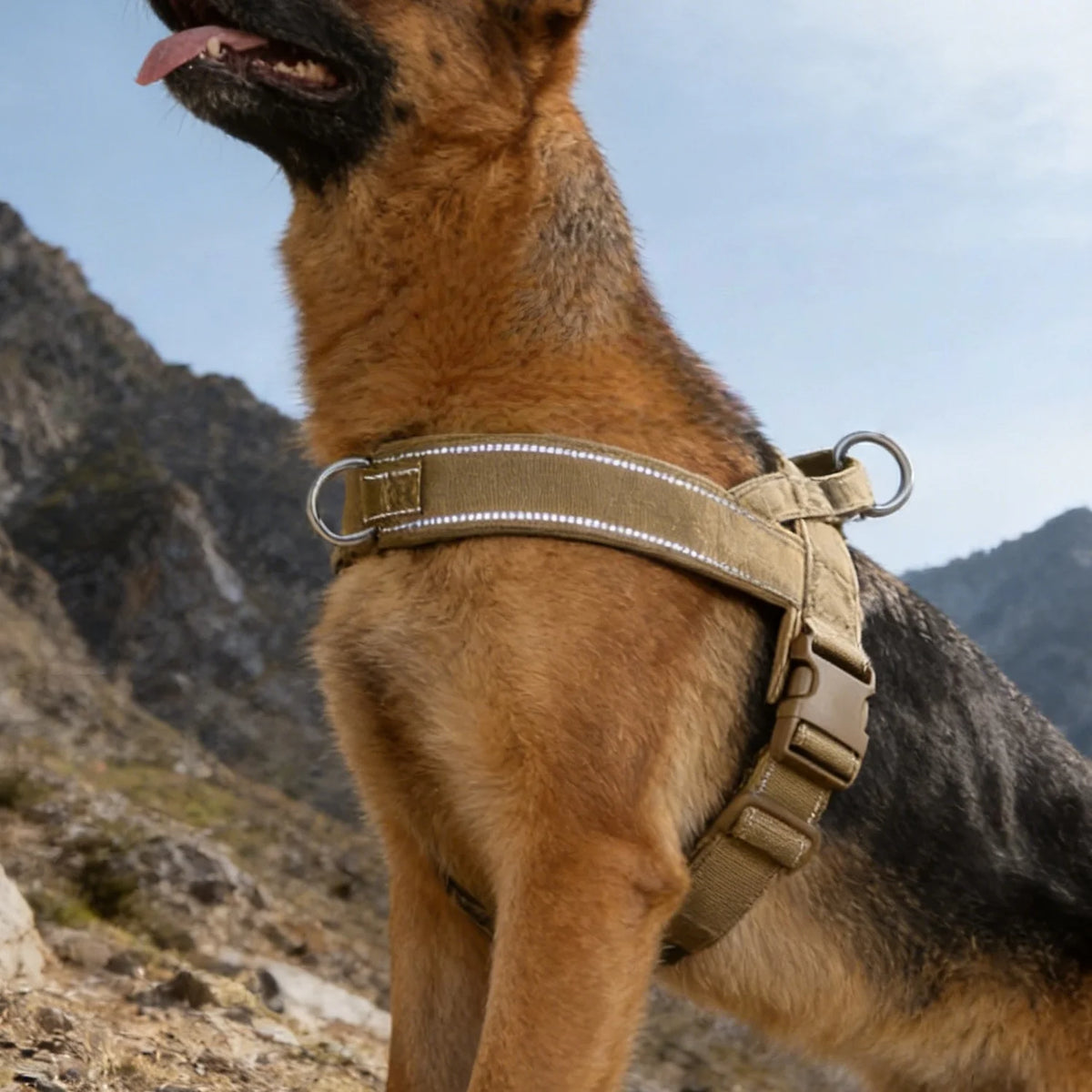 Tactical No-Pull Dog Harness – Heavy-Duty Padded for Large Dogs