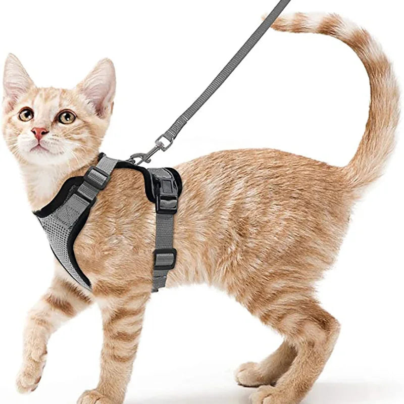 Cat Harness and Leash for Walking – Escape-Proof Soft Adjustable Vest