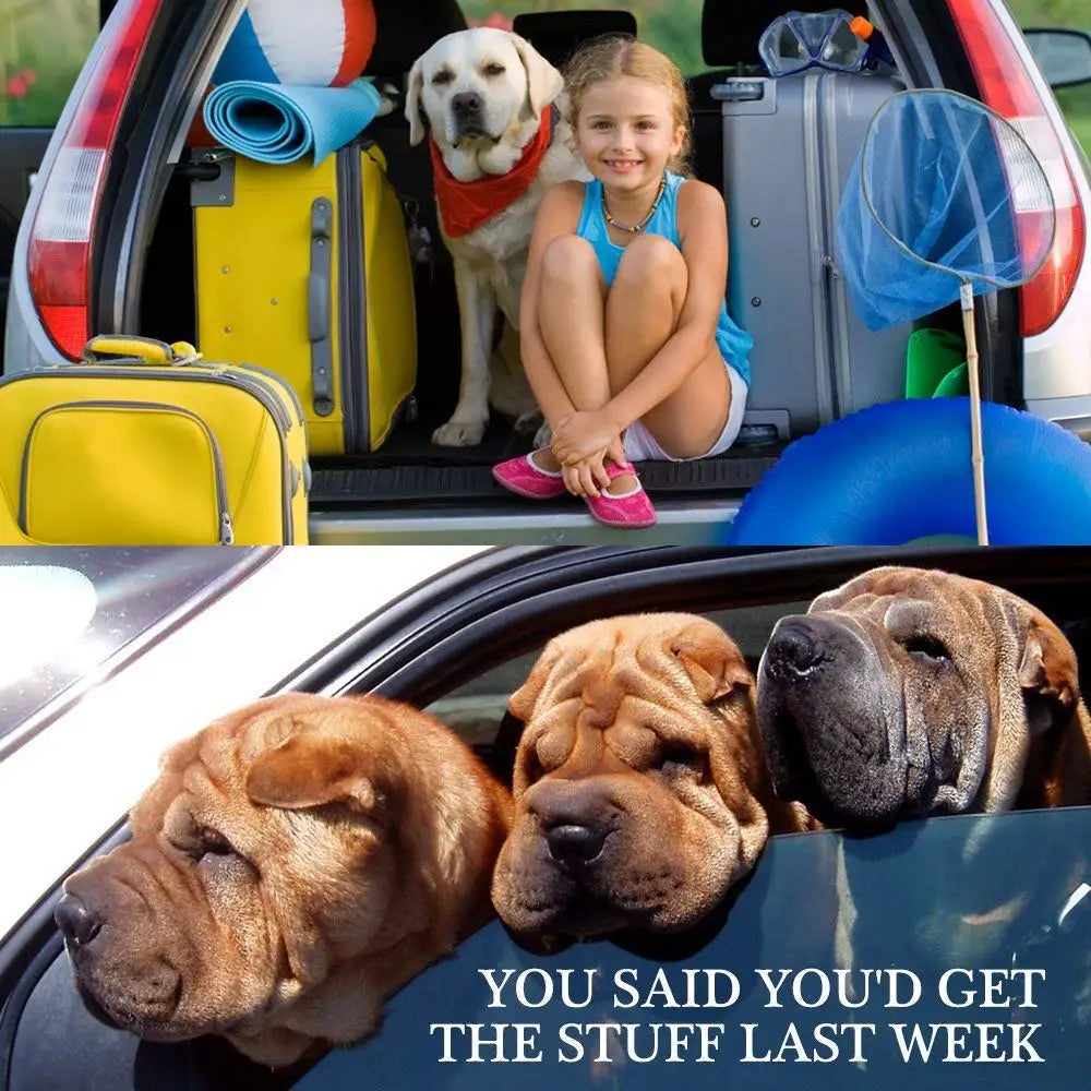 Dog Car Seat Belt – Adjustable Pet Travel Safety Harness Lead