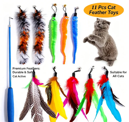 Cat Feather Wand Refill Set – 11 Replacement Feather Teaser Heads