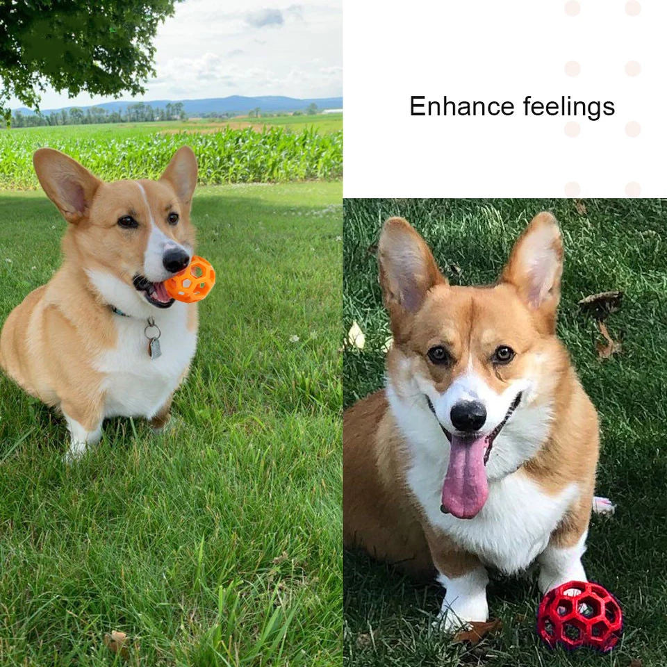 Natural Rubber Dog Ball with Bell – Geometric Teeth Cleaning Toy