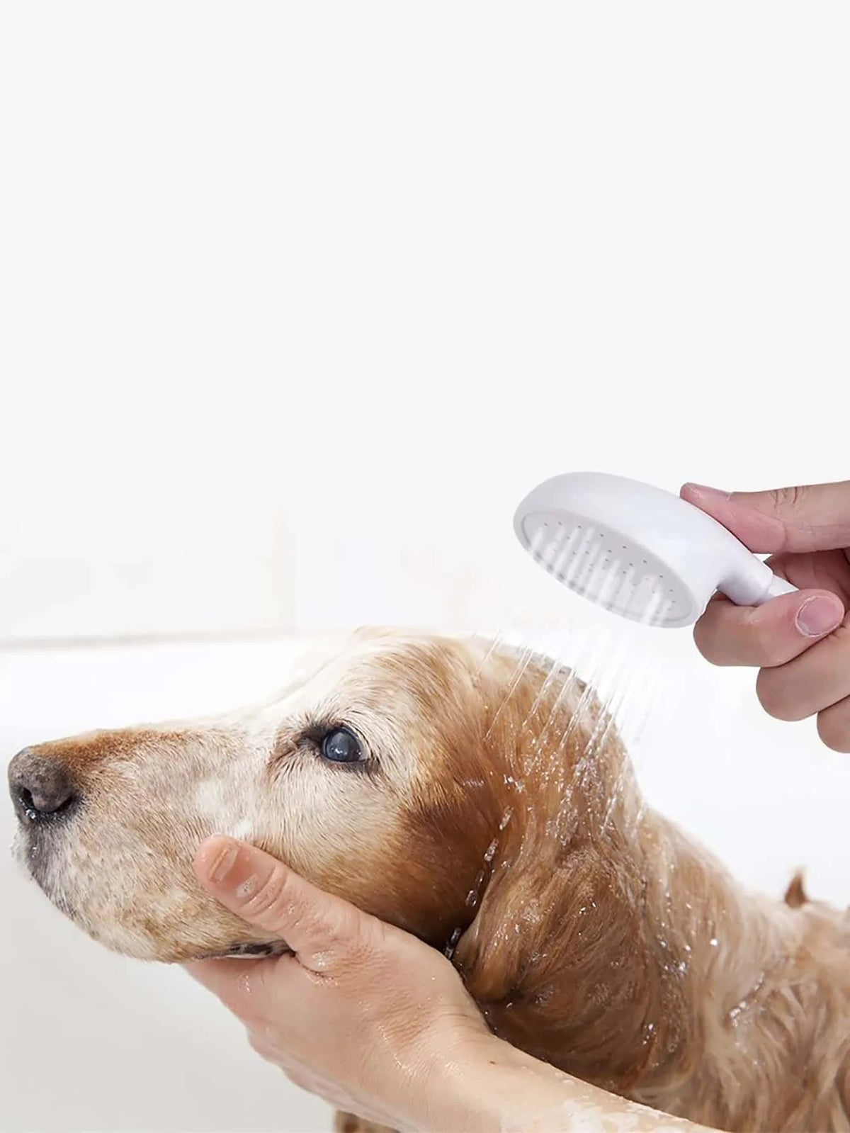 Pet Shower Faucet Sprayer for Dogs & Cats – Multi-Function Bath Nozzle
