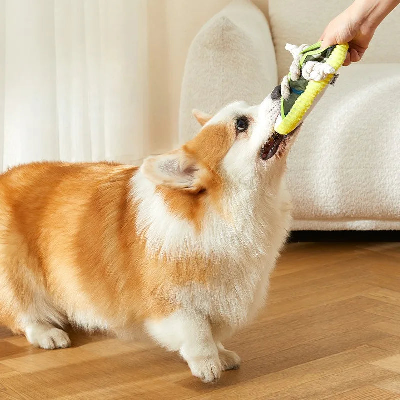 Squeaky Shoe Rope Dog Toy – Teeth Cleaning Cotton Chew Toy