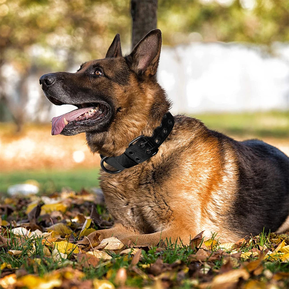 Tactical Dog Collar – Heavy-Duty Nylon Collar for Medium/Large Dogs