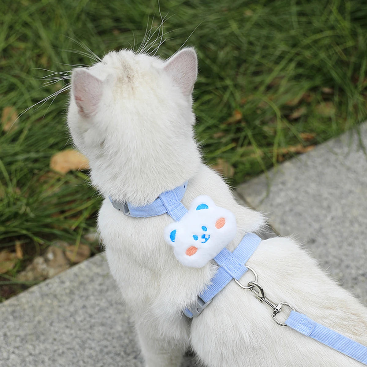 Cat & Small Dog Harness Leash Set – Breathable Adjustable Walking Vest