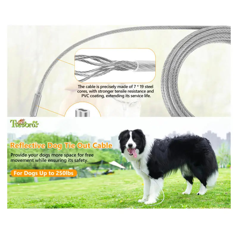 Heavy-Duty Dog Tie-Out Cable – Reflective Steel Lead with Swivel Hooks