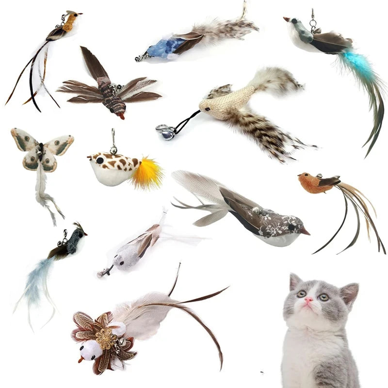 Bird Feather Cat Wand with Bell – Interactive Kitten Teaser Toy