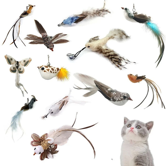 Bird Feather Cat Wand with Bell – Interactive Kitten Teaser Toy