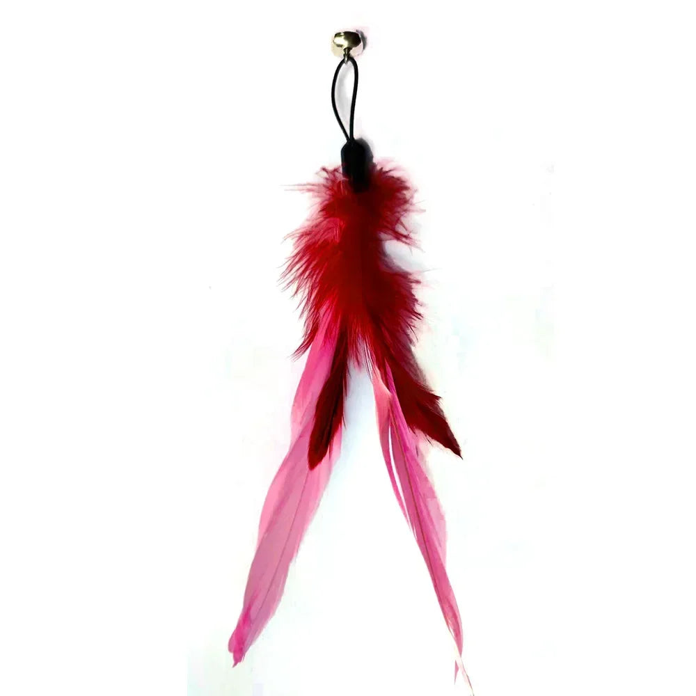 Cat Feather Toy Refills – Replacement Bird, Worm & Ball Teaser Heads