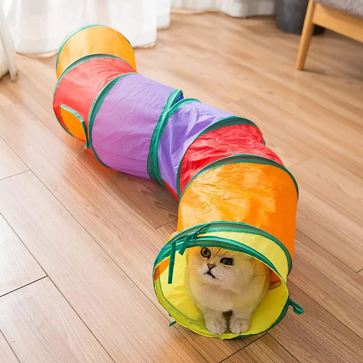 Collapsible Cat Tunnel – Foldable Play Tube with Hanging Toy for Cats