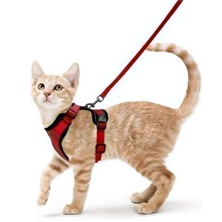 Cat Harness and Leash for Walking – Escape-Proof Soft Adjustable Vest