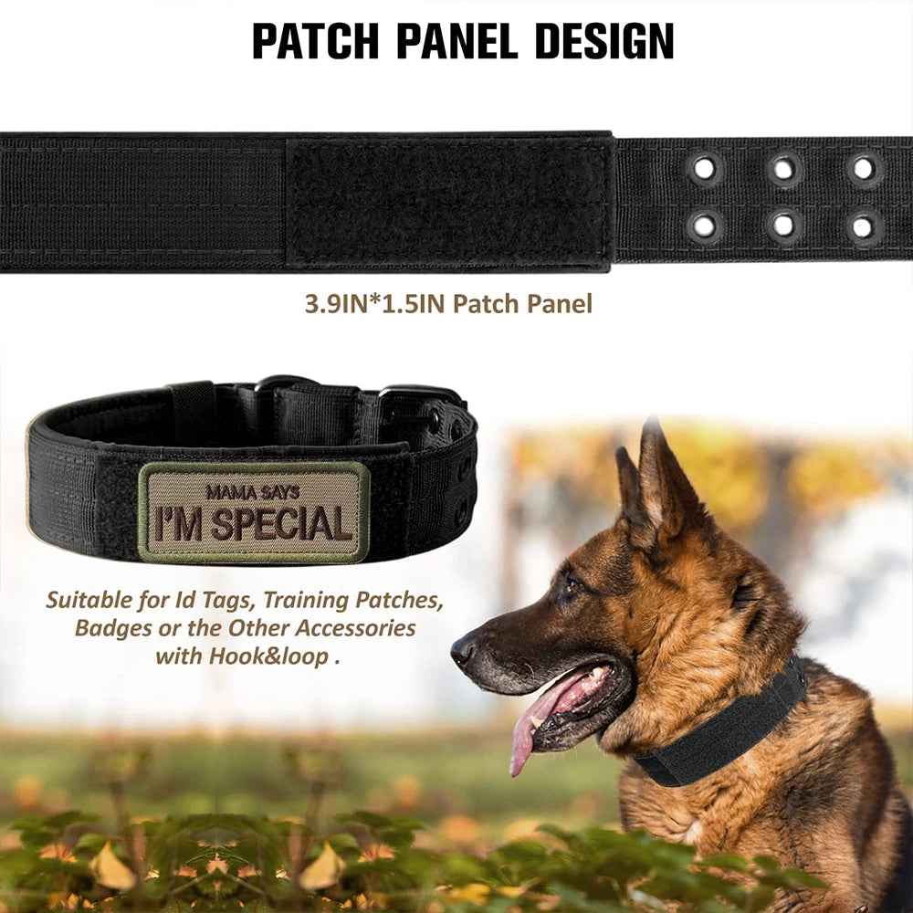 Tactical Dog Collar – Heavy-Duty Nylon Collar for Medium/Large Dogs