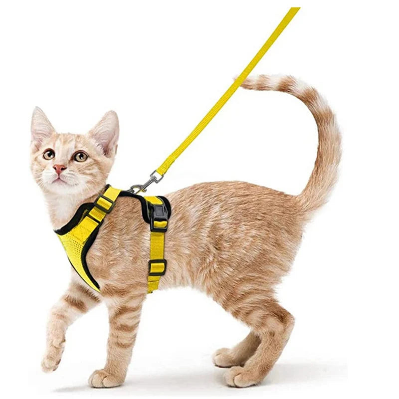 Cat Harness and Leash for Walking – Escape-Proof Soft Adjustable Vest
