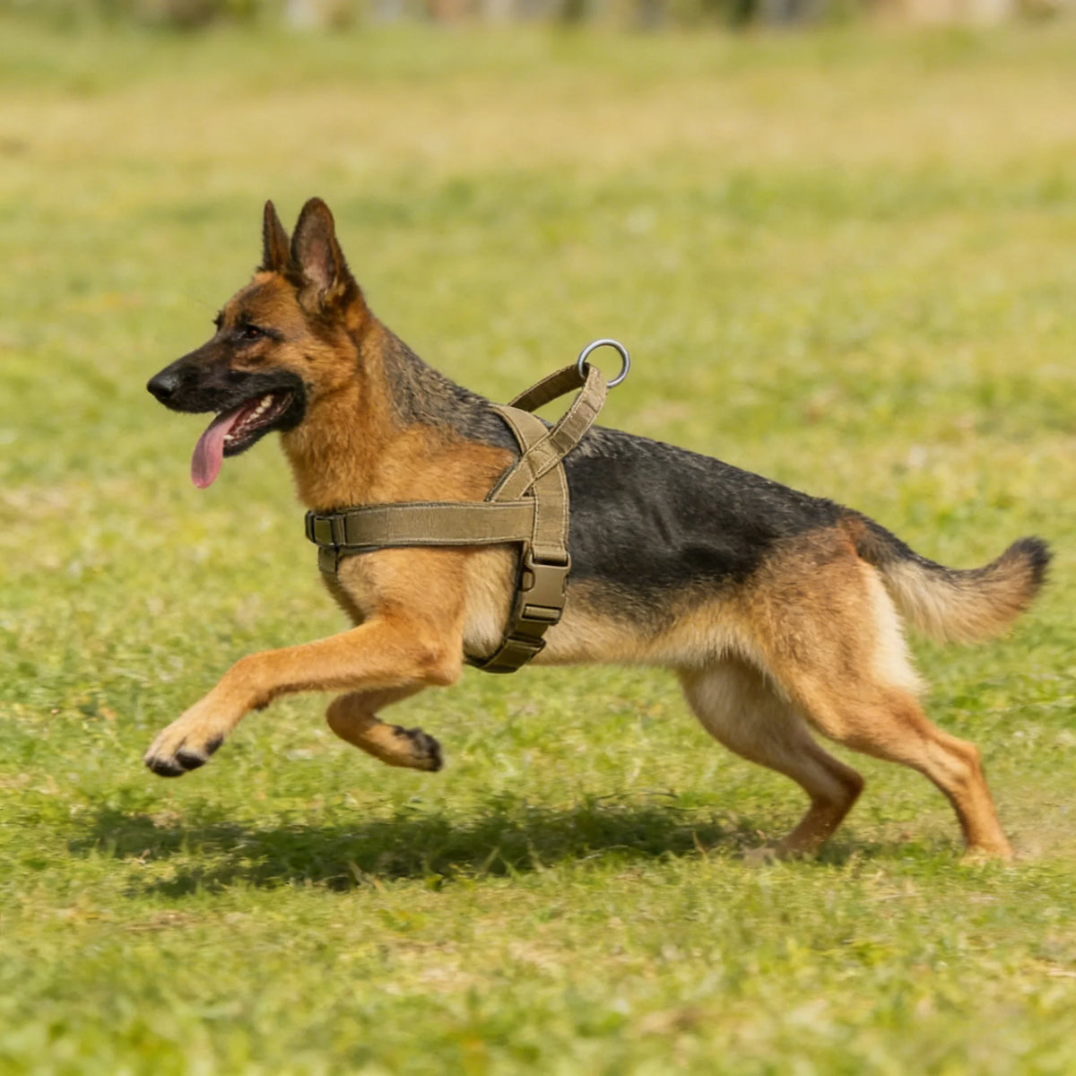 Tactical No-Pull Dog Harness – Heavy-Duty Padded for Large Dogs