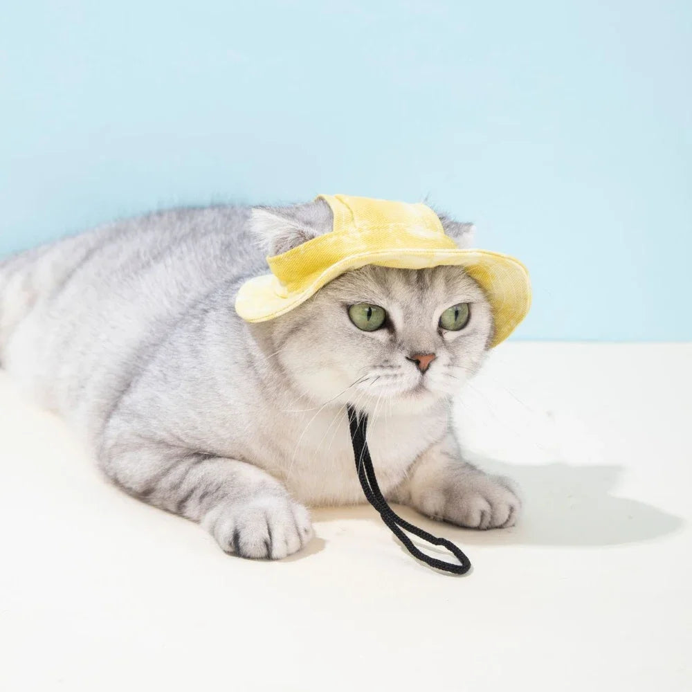 Dog Baseball Cap with Ear Holes – Adjustable Pet Sun Hat Small/Medium