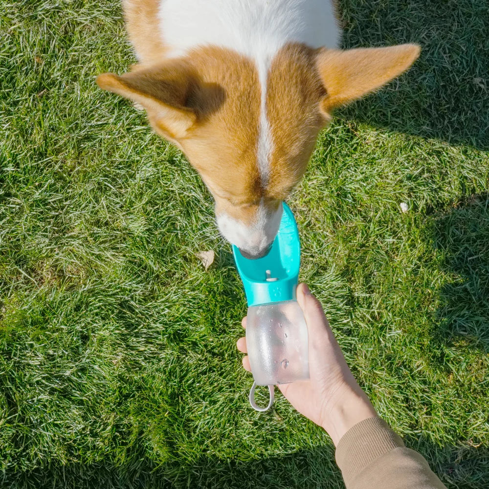 Portable Dog Water Bottle 300ml – Travel Drinking Bowl for Dogs & Cats